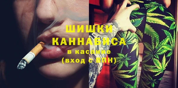 сатива Михайлов