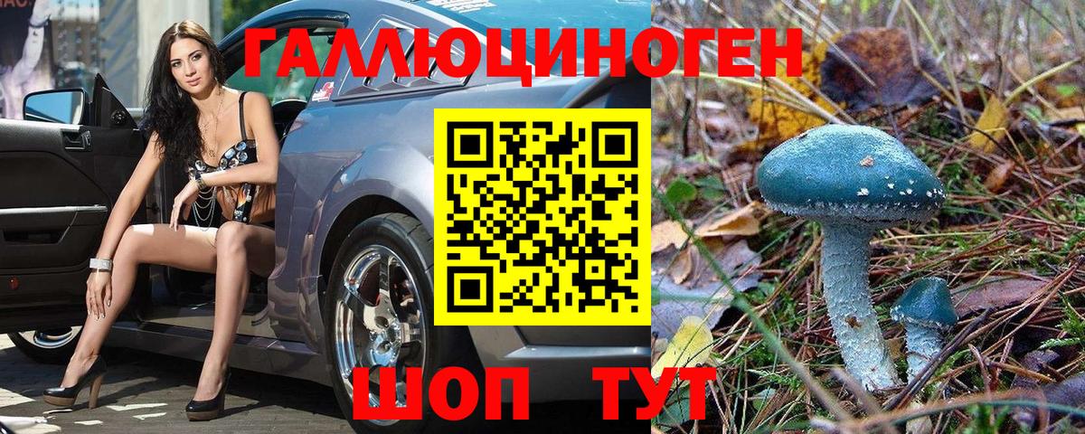 Волжский  Псилоцибиновые грибы прущие грибы  Вход с VPN 