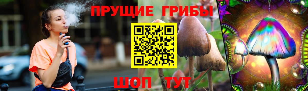 Галлюциногенные грибы Magic Shrooms Волжский